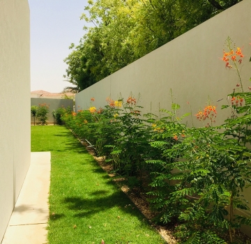 Landscaping Gallery